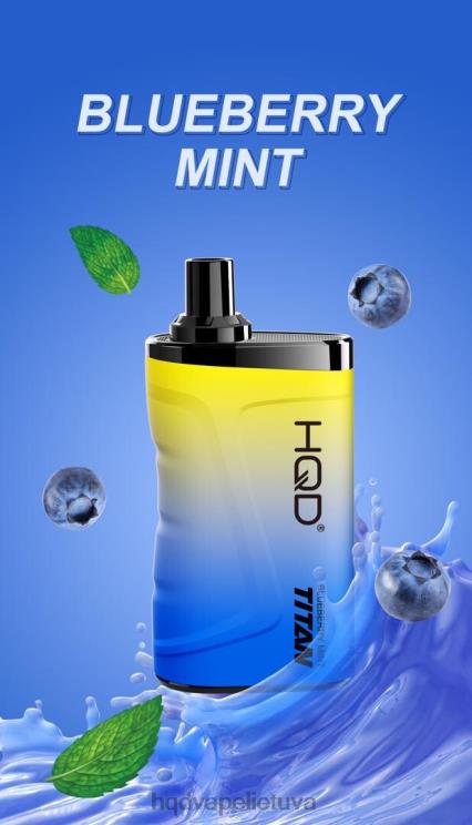 mėlynių mėtų