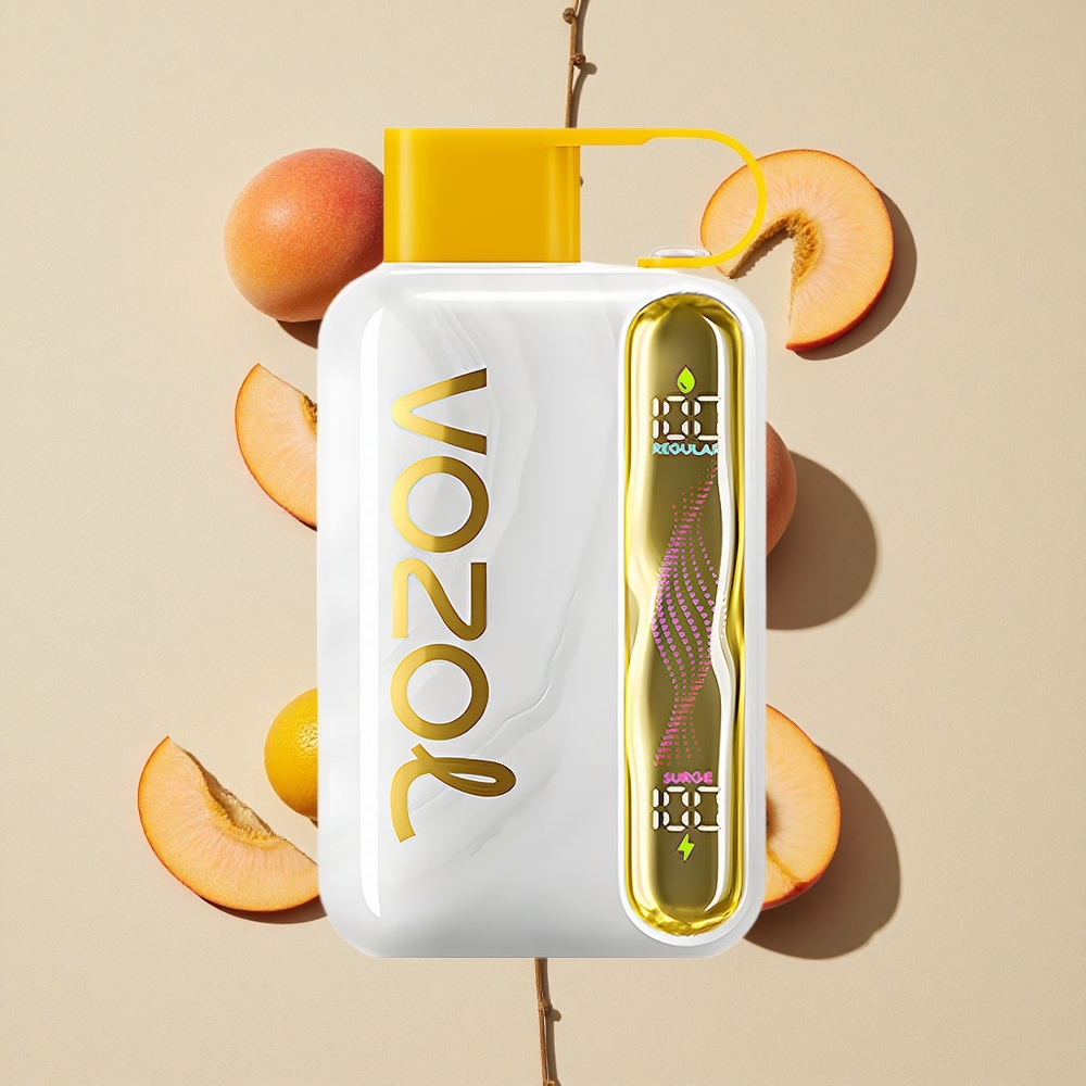 VOZOL STAR 40000 Puffs VAPĖS MANGO/APRIKOSINĖ SU TIPU-C IR Lithuania wholesale