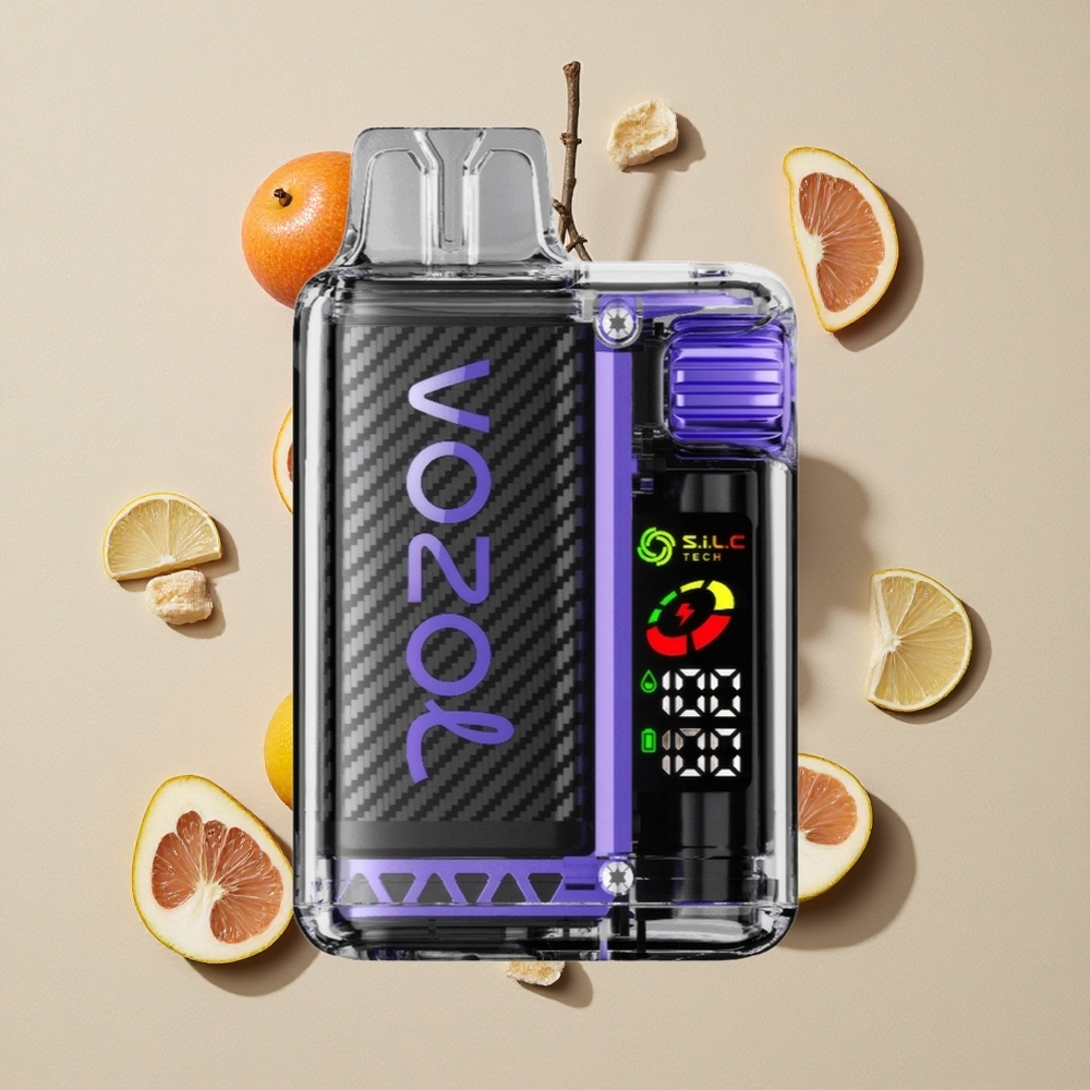 VOZOL Vista 20000 Puffs Uogų Ledas su 6 lygio galios reguliavimu Lithuania wholesale